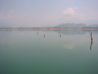 IMG_3436.JPG