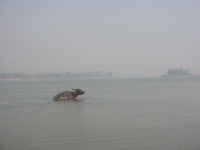 IMG_3497.JPG