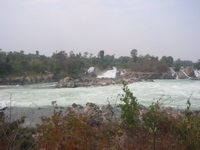 IMG_3519.JPG