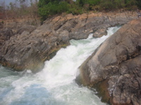 IMG_3529.JPG