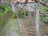 108-0831_IMG
