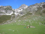 IMG_0852.JPG