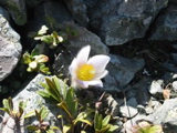 IMG_0856.JPG