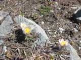 IMG_0857.JPG