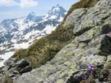 IMG_0859.JPG